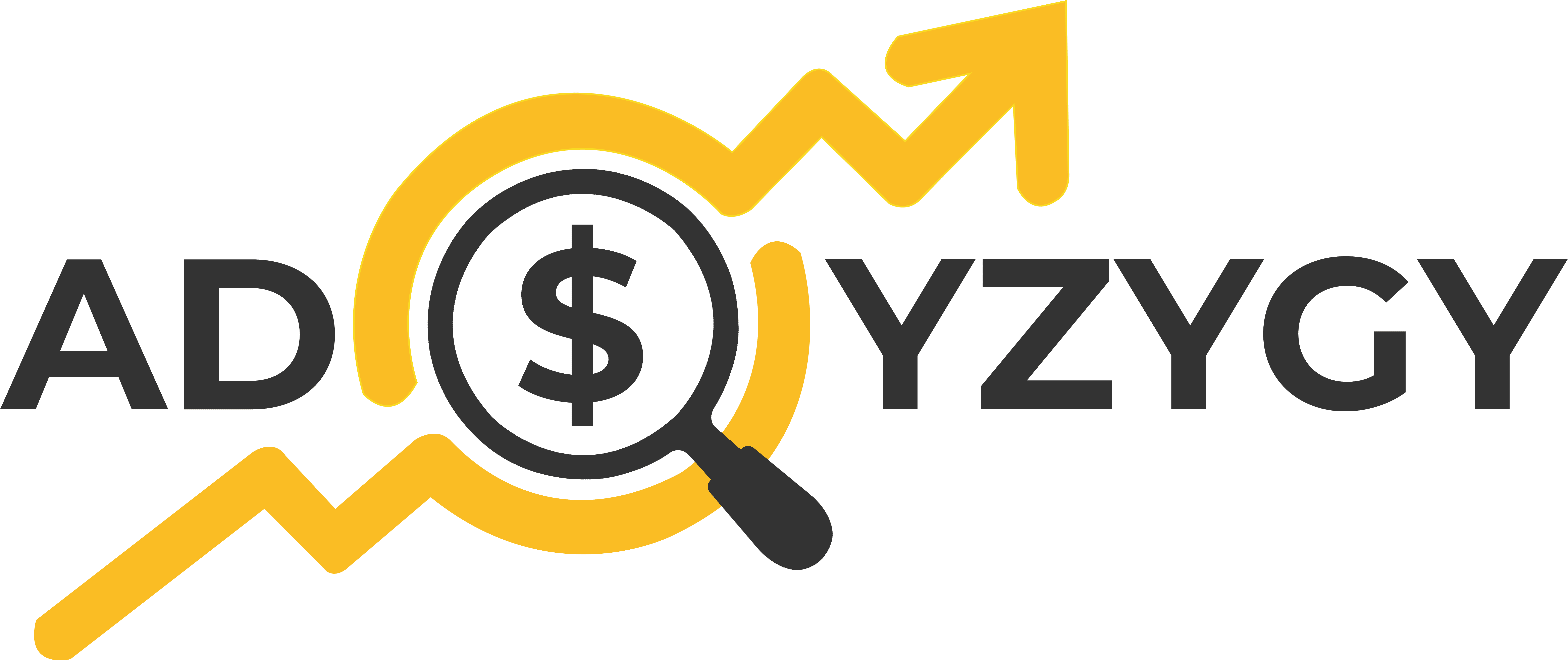ADSYZYGY PVT LTD
